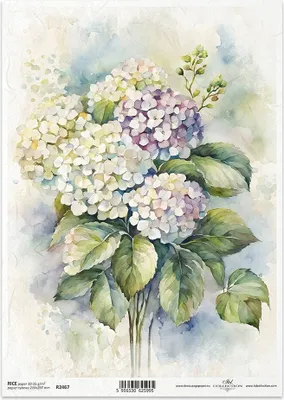 Produktbild von ITD Reispapier Decoupage Bastelpapier Serviettentechnik-R2467 Hortensien
