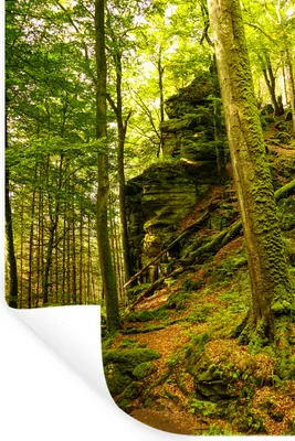 Produktbild von MuchoWow® Wandtattoo Wandsticker Wandaufkleber Bäume - Stein - Wald - Natur - Pflanzen 60x90 cm Selbstklebend und Repositionierbar - Sticker - Dekorfolie