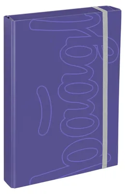 Produktbild von Baagl Heftbox A4 JUMBO Schulranzen Sammelmappe Sammelbox Mädchen - Dual