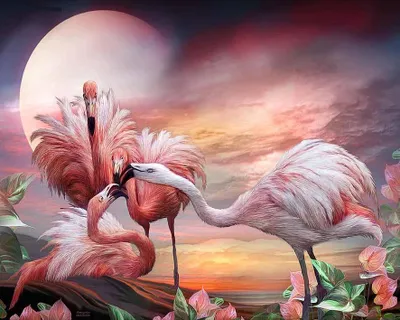 Produktbild von "Malen nach Zahlen: Flamingos, 50x40 cm, mit Rahmen. Kreatives Bild."