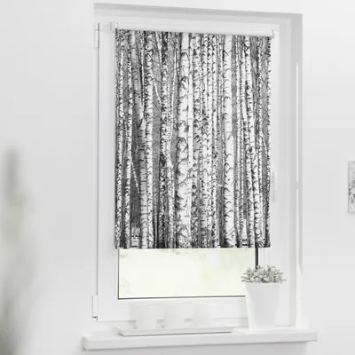 Obrázek produktu pro Roleta propouštějící denní světlo 80x150cm Břízy