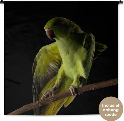 Produktbild von MuchoWow® Wandteppich Wandbehang Papagei - Vogel - Zweig 150x150 cm Tapisserie Dekoration Wandtuch - Wohnaccessoires - Modernes