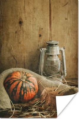 Produktbild von MuchoWow® Poster Stillleben - Herbst - Kürbis 80x120 cm - Papierdruck