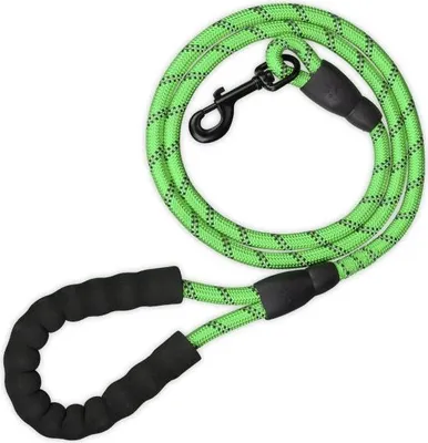 Image de Laisse pour chien rembourrée verte 150 cm