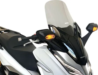 Image de Wscrn Stndrd Forza300 Smk