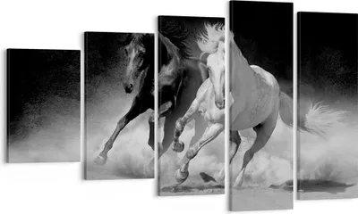Produktbild von Bild auf Leinwand - Leinwandbild - 5 Teile - Andalusier Pferde Galopp - 100x60cm - Wand Bild - Wanddeko - Wandbilder - Leinwanddruck - Bilder - Wanddekoration - Leinwand bilder - EG100x60-4240
