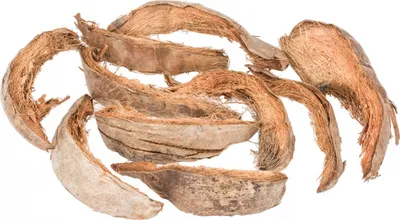 Produktbild von Kokosschale in Natur, Größe ca. 20-30cm, Packung mit 0,5kg | Kokosrinde