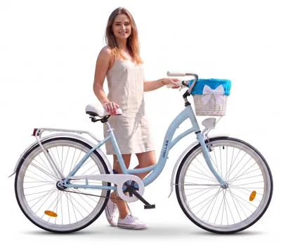 Produktbild von Dallas Bike Damenfahrrad 26 Zoll - Mit Weidenkorb - 1-Gang Rücktritt - Rahmen M 17" - Blau-Weiß