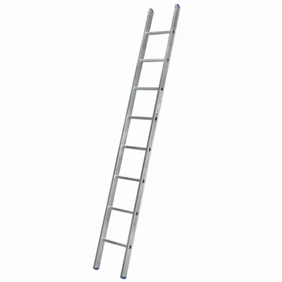 Produktbild von Anlegeleiter Mod. 100 - Sprossenanzahl: 8, Länge: 2,44 m