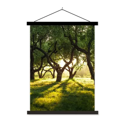 Produktbild von MuchoWow® Textilposter Bäume - Natur - Sonne 60x80 cm mit schwarzem Rahmen - Plakathalter