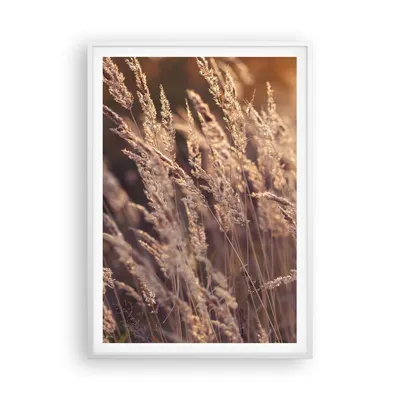 Produktbild von Gerahmtes Poster - Weißer Rahmen - Boho Ähren Feld - 70x100 cm - Wand Bild - Wanddeko - Wandbilder - Kunstposter - Wandposter - Bilderrahmen - Bilder - Kunstdruck - Wanddekoration - P2WPA70x100-4838