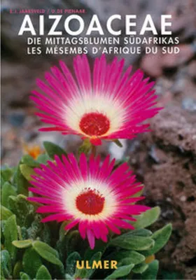 Image de Aizoaceae