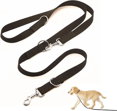 Productafbeelding van Hondeleine voor Grote Honden, Verstelbaar met Twee Karabiners (Zwart, 2,5 x 260 cm)