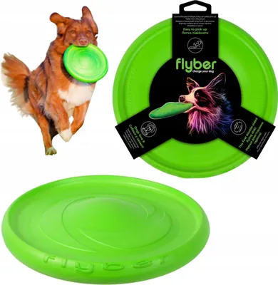 Produktbild von Flyber Waudog Frisbee, 22 cm, hellgrün