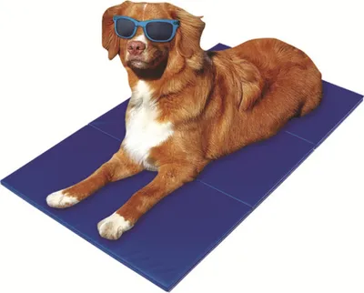 Produktbild von Selbstkühlende Matte Kühlmatte Kühlkissen Kühldecke für Hund und Katze 40x50cm