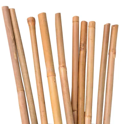 Image de Lot de 40 tiges de bambou pour le support des plantes