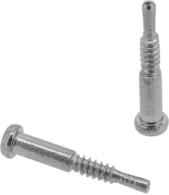 Produktbild von Calypso Ersatzschraube | Bandschraube aus Edelstahl silberfarben K5603