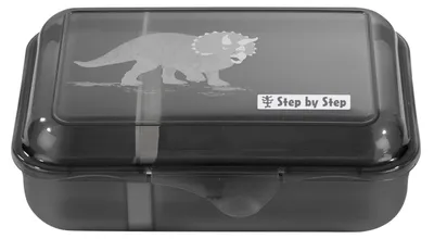 Lunchbox Dino-Motiv, 0,9 l, mit Trennwand, spülmaschinenfest, BPA-frei