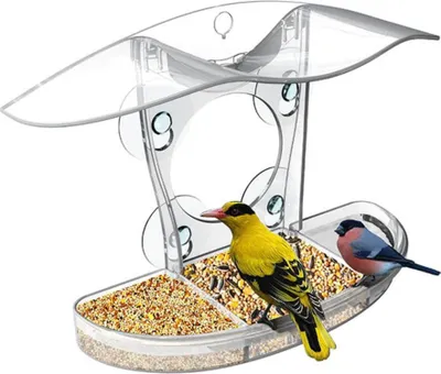 Produktbild von INF Transparentes Acryl-Vogelfutterhaus - Fensterbefestigung mit Saugnäpfen