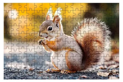 Zdjęcie produktu dla Puzzle z 5000 elementów, przedstawiające zwierzęta, dla dorosłych