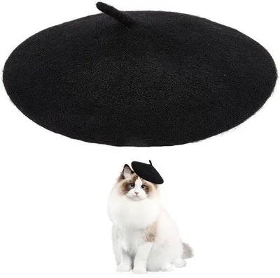 Image de Petit chapeau en laine pour chiens, poupées et chiens