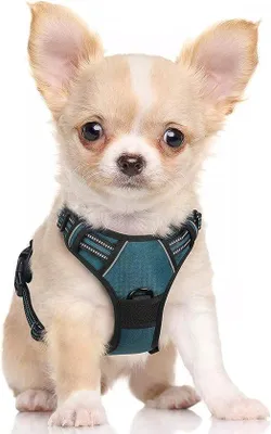 Image de Harnais de poitrine réfléchissant et respirant, réglable, pour chiens
