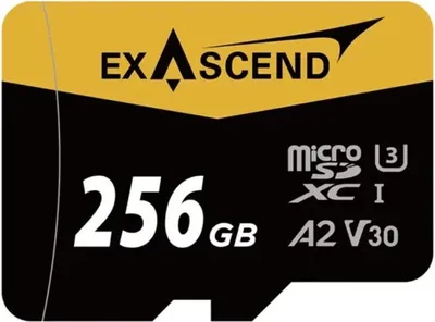 Obrázek produktu pro Paměťová karta ExAscend Catalyst UHS-I Micro 256 GB