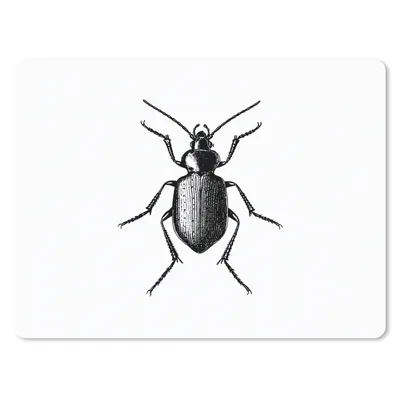 Produktbild von MuchoWow® Mauspad Mousepad Käfer - Tiere - Vintage - Schwarz und weiß 23x19 cm - Mousepads - Maus Mat - Pad - Mausunterlage - Schreibtischunterlage - Mauspad