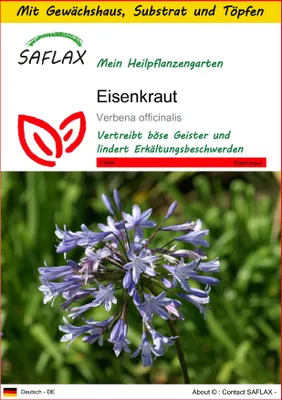 Produktbild von SAFLAX Anzucht Set - Eisenkraut - Verbena officinalis - 250 Samen - Mit Mini-Gewächshaus, Anzuchtsubstrat und 2 Töpfen
