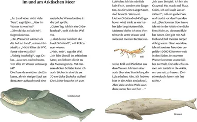 Obrázek produktu pro Alles klar! Der kleine Drache Kokosnuss erforscht das ewige Eis