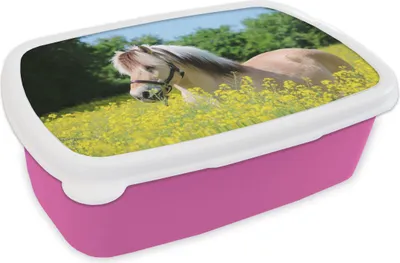 Produktbild von KitchenYeah® Lunchbox Brotzeit Brotdose 17x11 cm Pferd - Blumen - Gelb Kinder Brotzeitdose - Lunchpaket - Brotkasten  - Sandwich Box