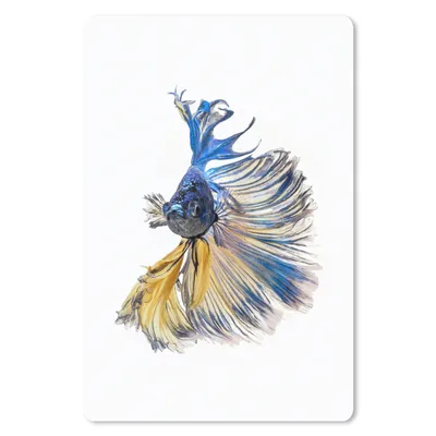 Produktbild von MuchoWow® Mauspad Mousepad Fisch - Schwanz - Blau 40x60 cm - Mousepads - Maus Mat - Pad - Mausunterlage - Schreibtisch Accesoire