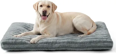 Produktbild von Hundebett 90x60x9 cm, Plüsch, waschbar, rutschfest, für Zuhause