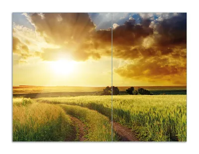 Produktbild von Wallario Herdabdeckplatte aus Glas, Größe 70 x 52 cm 2-teilig, Motiv Feldweg in den Sonnenuntergang