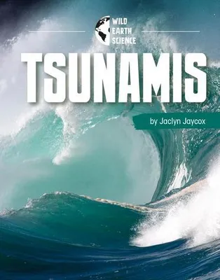 Produktbild von Tsunamis
