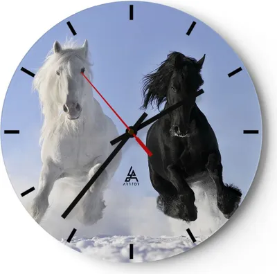 Produktbild von Wanduhr - Rund - Glasuhr - Tiere Schönheit Wettbewerb - 40x40cm - Schleichendes Uhrwerk - Lautlos - zum Aufhängen bereit - Dekoration Modern - Wanddekoration aus Glas - C3AR40x40-2179