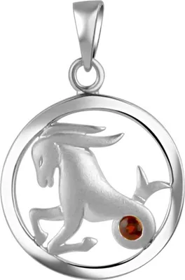 Zdjęcie produktu dla Wisiorek V 925/- Srebro rodowane znak zodiaku Koziorożec kamień miesiąca