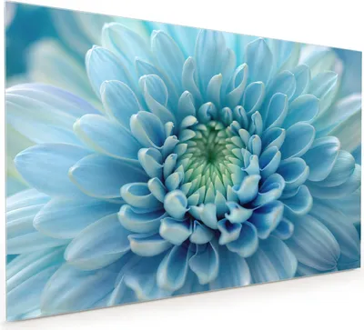 Produktbild von Küchenrückwand Spritzschutz Glas mit Motiv Blütenzauber 40 x 40 cm