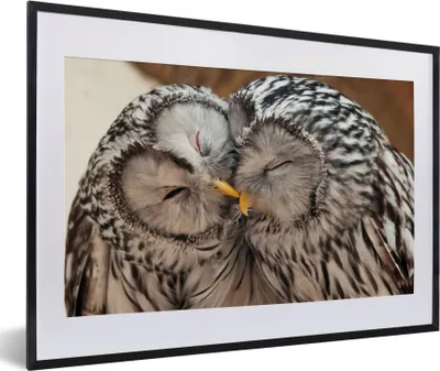 Produktbild von MuchoWow® MuchoWow® Gerahmtes Poster Eulen - Vögel - Schnabel - Familie 60x40 cm - Poster mit zchwarzem Bilderrahmen - Schlafzimmer - Plakat in Rahmen - Drucken