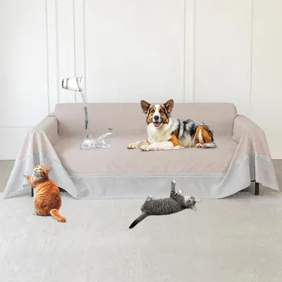 Image de Housse anti-rayures pour canapé 3 places 340x230 cm imperméable