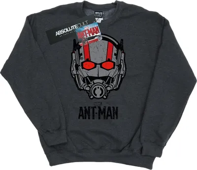 Produktbild von Marvel - Sweatshirt für Herren BI3488 (M) (Grau meliert)