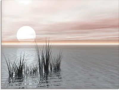 Produktbild von ARTland Glasbild Sonnenuntergang mit Schilf Größe: 60x45 cm