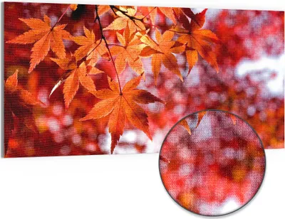 Produktbild von DEQORI Hybrid Leinwand Bild 100x50 cm 'Herbstblattglanz' Wandbild Glas flach modern
