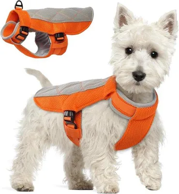 Produktbild von Famanu Hundekühlweste Atmungsaktive Tierbekleidung mit Verstellbarem Hals und Bauch, Reflektierend, Komfortabel, Kühlend, Orange, Medium