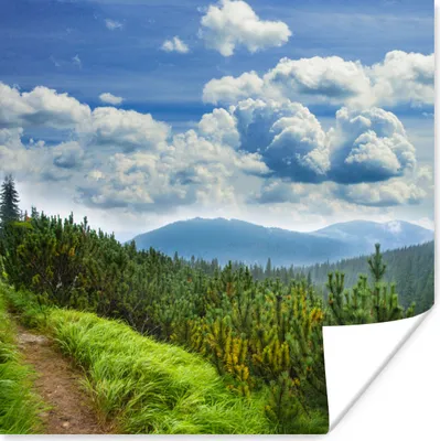 Produktbild von MuchoWow® Poster Wald - Weg - Berg 30x30 cm - Wandposter - Printing