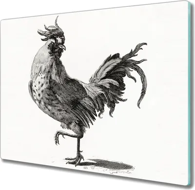 Produktbild von Coloray Schneidebrett Herdabdeckplatte 60x52 cm Kochplattenabdeckung Hackbrett Küchenbrett - Tier Vogel Huhn