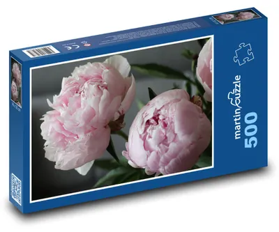 Obrázok produktu pre Puzzle 500 Ružové pivonky - martinpuzzle