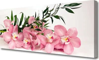 Produktbild von Tulup Leinwand-Bilder 125x50 Wandbild Canvas Kunstdruck Blumen Blätter Pflanzen