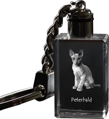 Immagine prodotto di Peterbald portachiavi cubico con gatto Art-Dog
