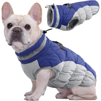 Image de Manteau pour chien, veste d'hiver imperméable, couleur bleue, taille M